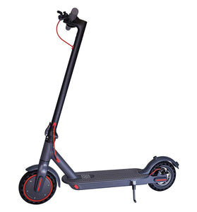 M365 Electric Scooter